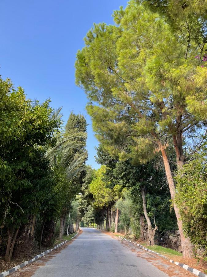 Club Alda Ξενοδοχείο Λάπηθος Εξωτερικό φωτογραφία